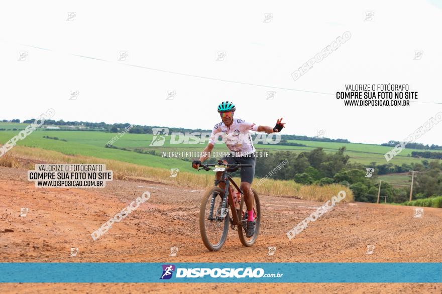 1ª EDIÇÃO DESAFIO ABELHA GRANDE - XCM