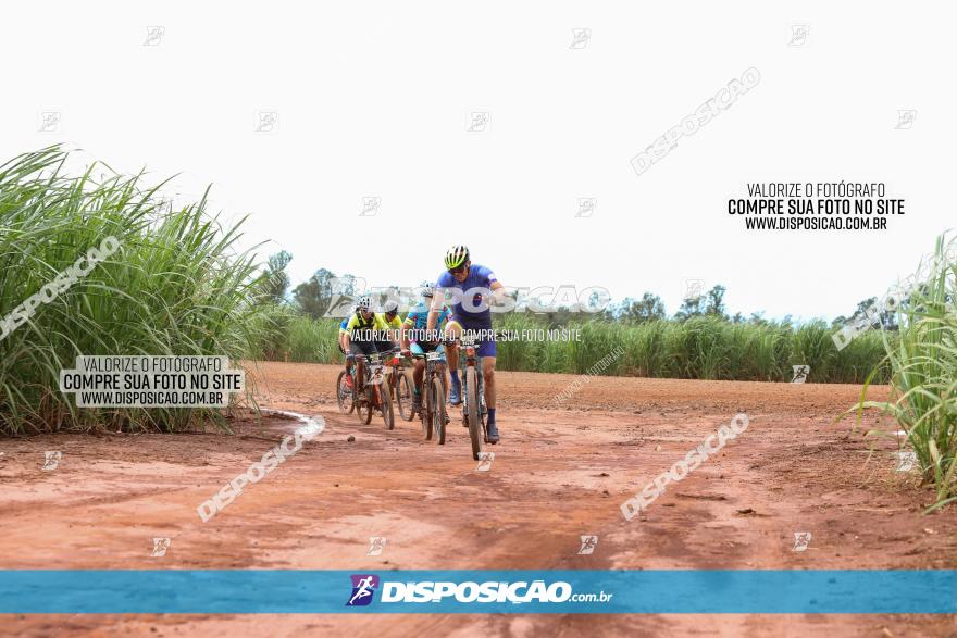 1ª EDIÇÃO DESAFIO ABELHA GRANDE - XCM