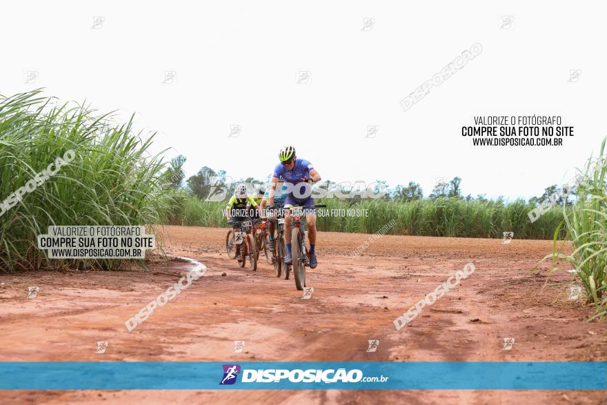 1ª EDIÇÃO DESAFIO ABELHA GRANDE - XCM