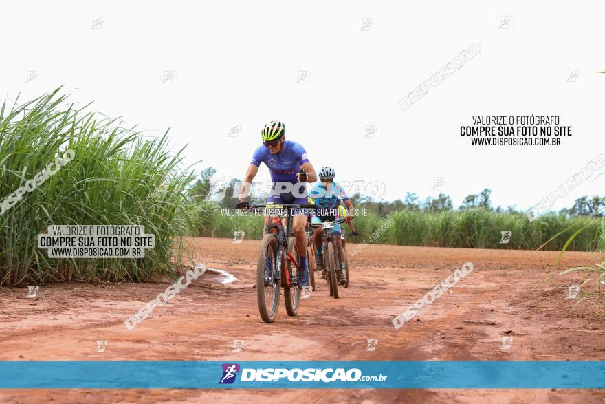 1ª EDIÇÃO DESAFIO ABELHA GRANDE - XCM