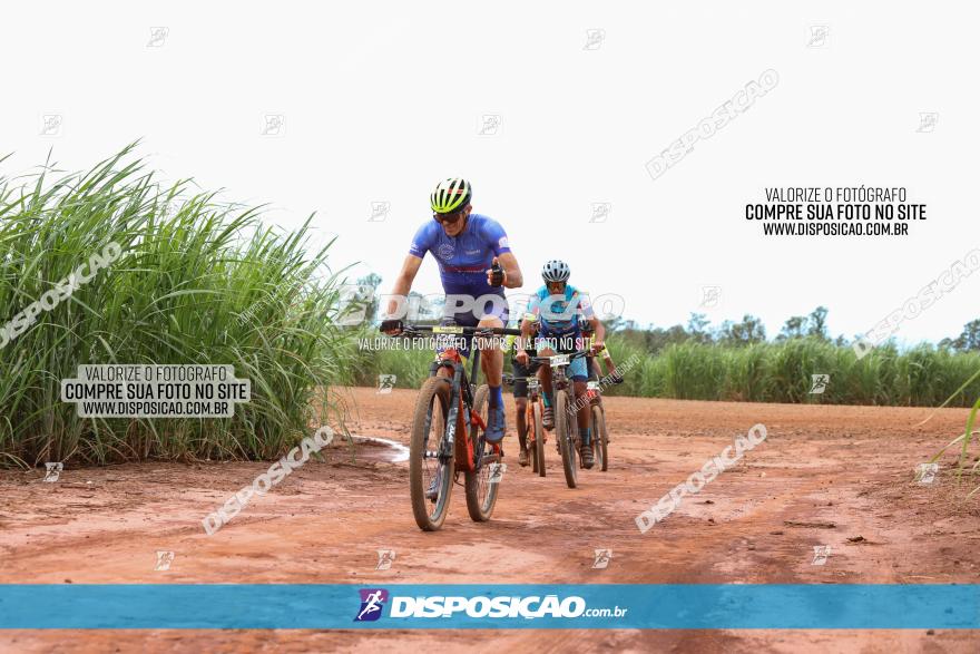 1ª EDIÇÃO DESAFIO ABELHA GRANDE - XCM