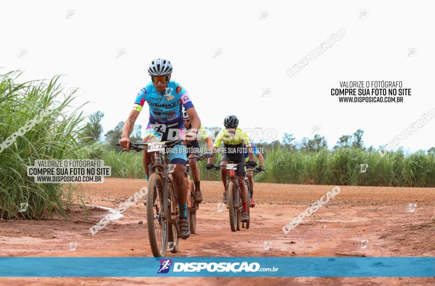 1ª EDIÇÃO DESAFIO ABELHA GRANDE - XCM