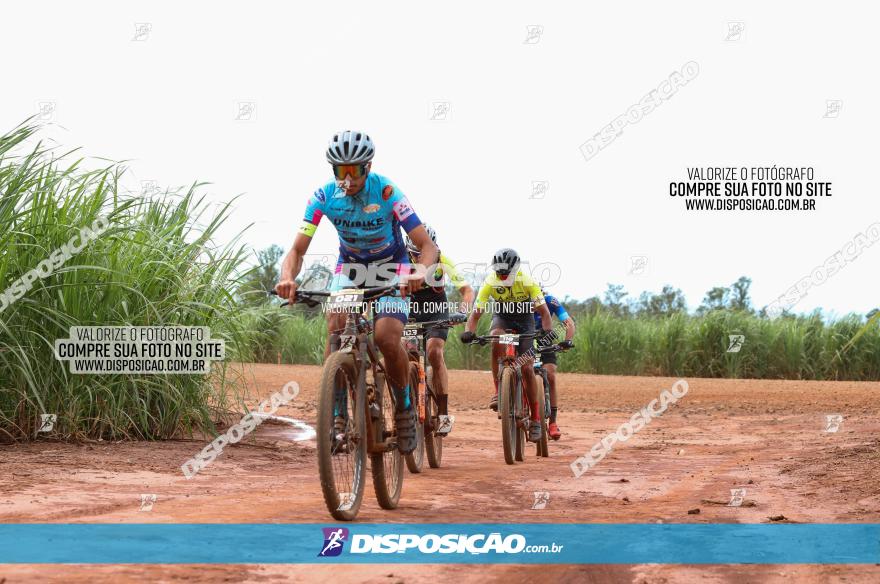 1ª EDIÇÃO DESAFIO ABELHA GRANDE - XCM