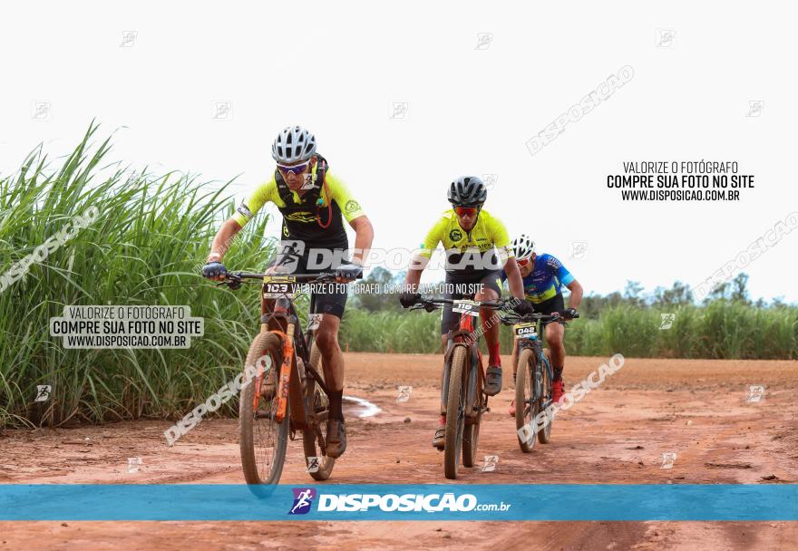 1ª EDIÇÃO DESAFIO ABELHA GRANDE - XCM