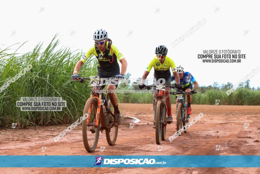 1ª EDIÇÃO DESAFIO ABELHA GRANDE - XCM