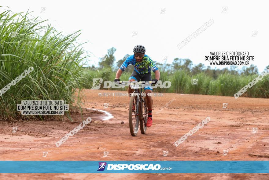 1ª EDIÇÃO DESAFIO ABELHA GRANDE - XCM