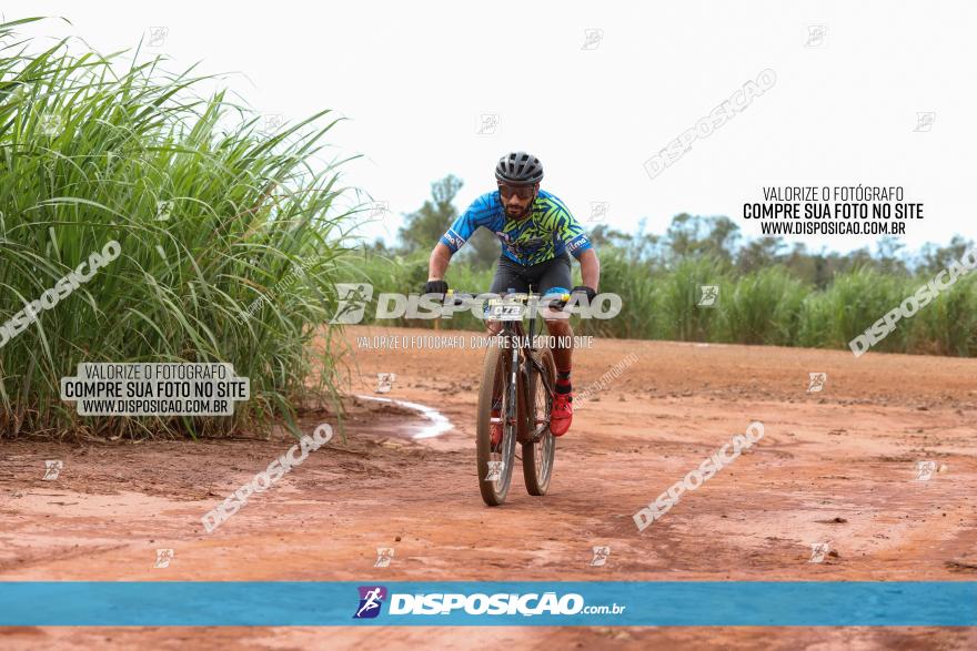 1ª EDIÇÃO DESAFIO ABELHA GRANDE - XCM