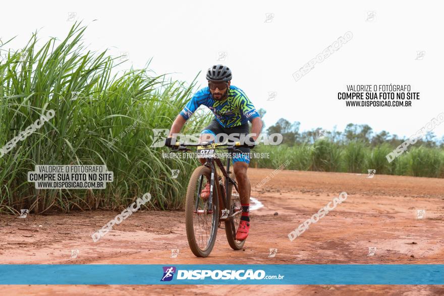 1ª EDIÇÃO DESAFIO ABELHA GRANDE - XCM