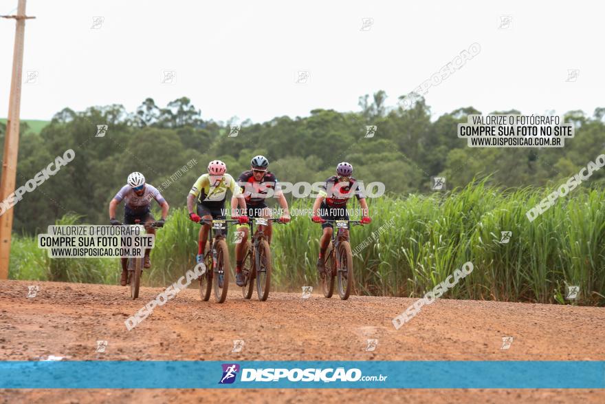 1ª EDIÇÃO DESAFIO ABELHA GRANDE - XCM