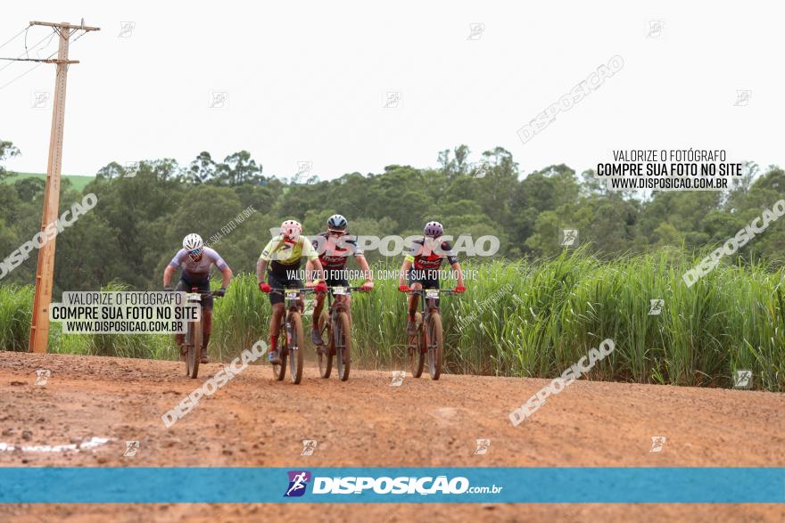 1ª EDIÇÃO DESAFIO ABELHA GRANDE - XCM