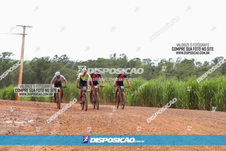 1ª EDIÇÃO DESAFIO ABELHA GRANDE - XCM