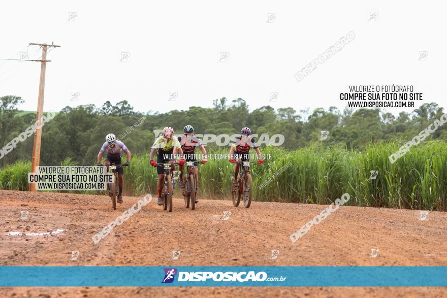 1ª EDIÇÃO DESAFIO ABELHA GRANDE - XCM