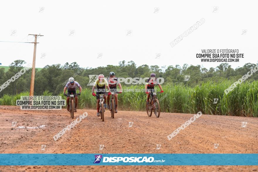 1ª EDIÇÃO DESAFIO ABELHA GRANDE - XCM