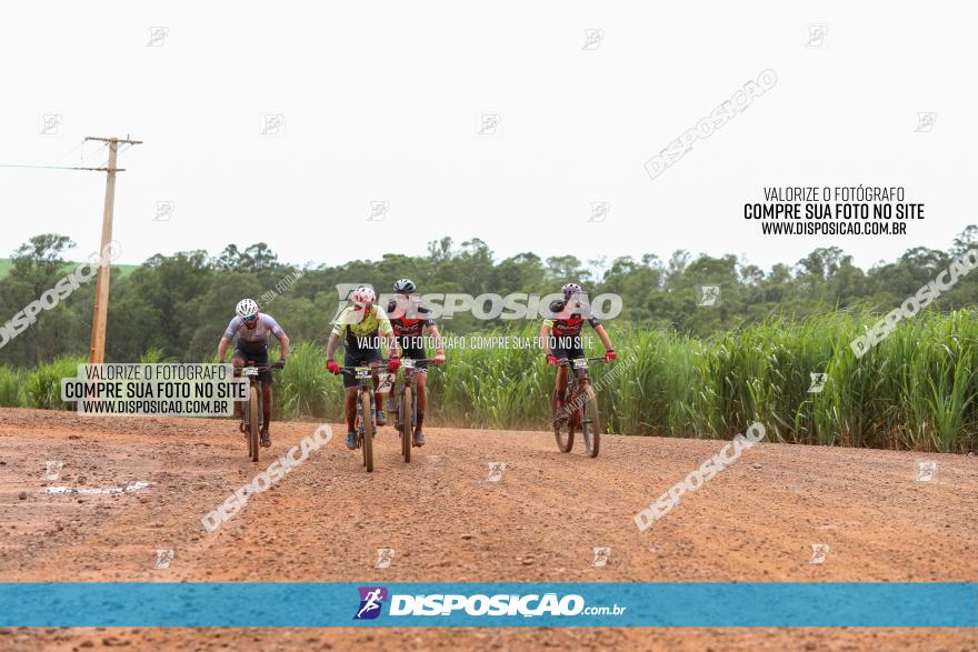 1ª EDIÇÃO DESAFIO ABELHA GRANDE - XCM