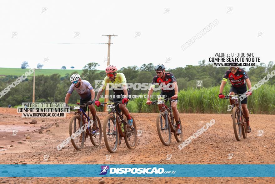 1ª EDIÇÃO DESAFIO ABELHA GRANDE - XCM