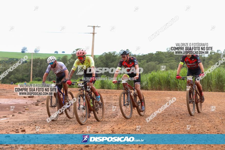 1ª EDIÇÃO DESAFIO ABELHA GRANDE - XCM