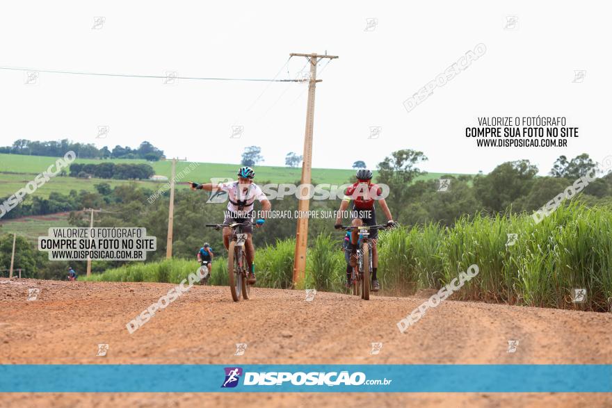 1ª EDIÇÃO DESAFIO ABELHA GRANDE - XCM