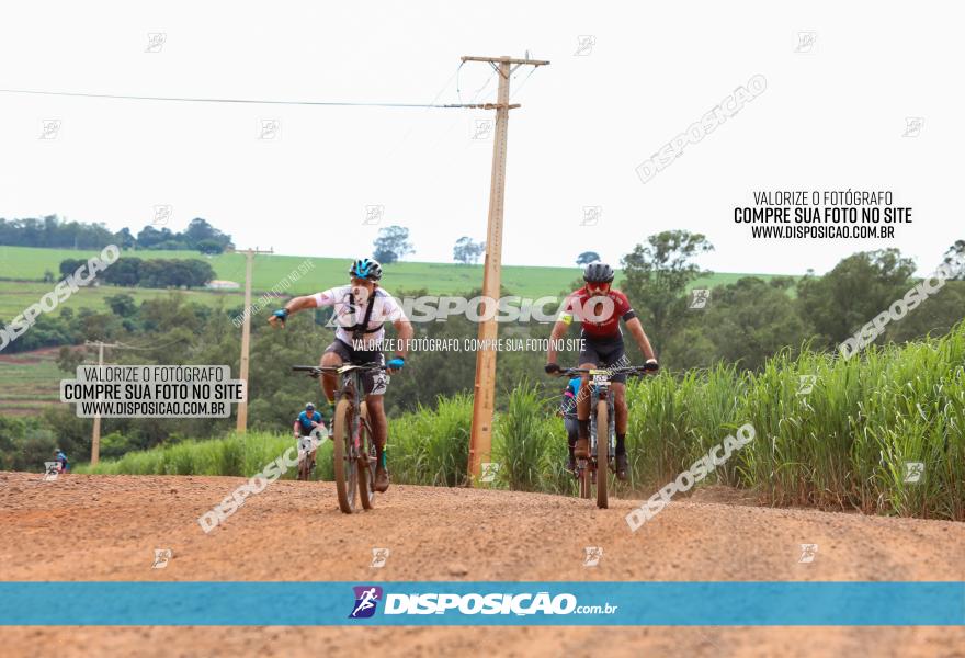 1ª EDIÇÃO DESAFIO ABELHA GRANDE - XCM