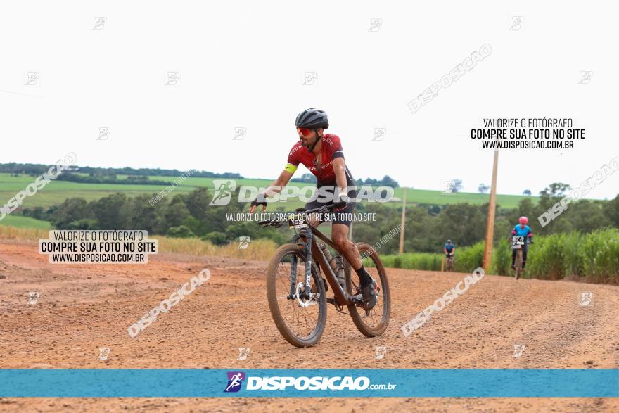 1ª EDIÇÃO DESAFIO ABELHA GRANDE - XCM