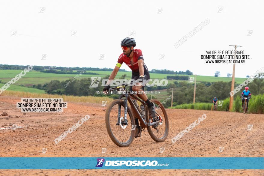 1ª EDIÇÃO DESAFIO ABELHA GRANDE - XCM