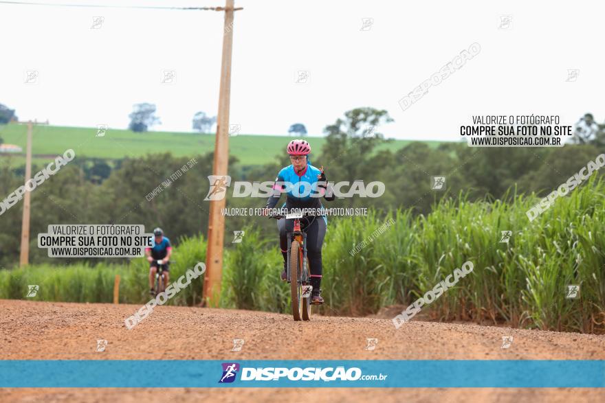 1ª EDIÇÃO DESAFIO ABELHA GRANDE - XCM