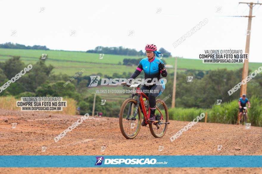 1ª EDIÇÃO DESAFIO ABELHA GRANDE - XCM