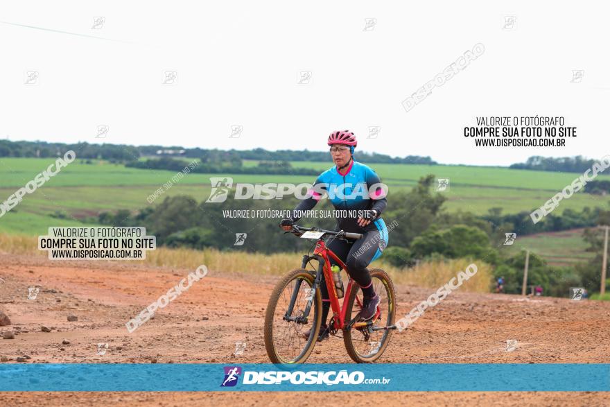 1ª EDIÇÃO DESAFIO ABELHA GRANDE - XCM