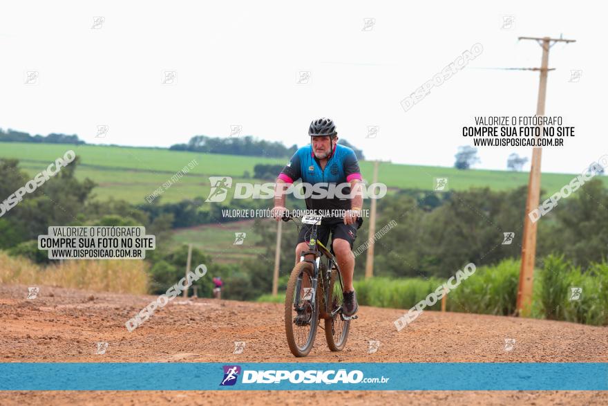 1ª EDIÇÃO DESAFIO ABELHA GRANDE - XCM