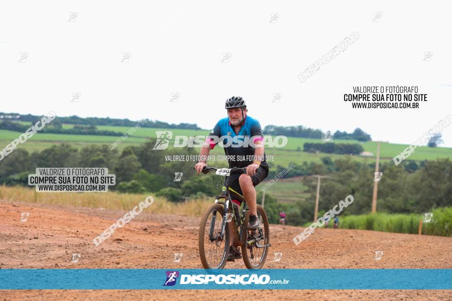 1ª EDIÇÃO DESAFIO ABELHA GRANDE - XCM