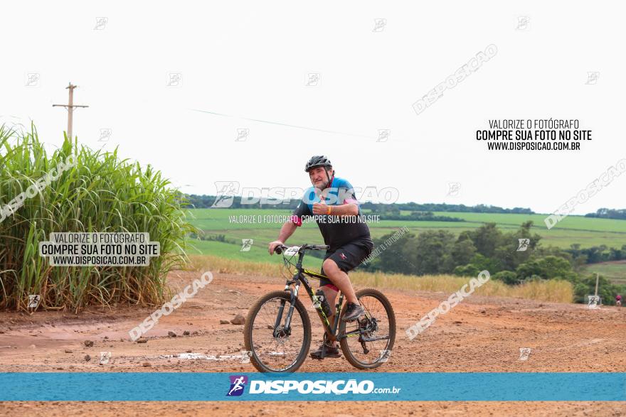 1ª EDIÇÃO DESAFIO ABELHA GRANDE - XCM