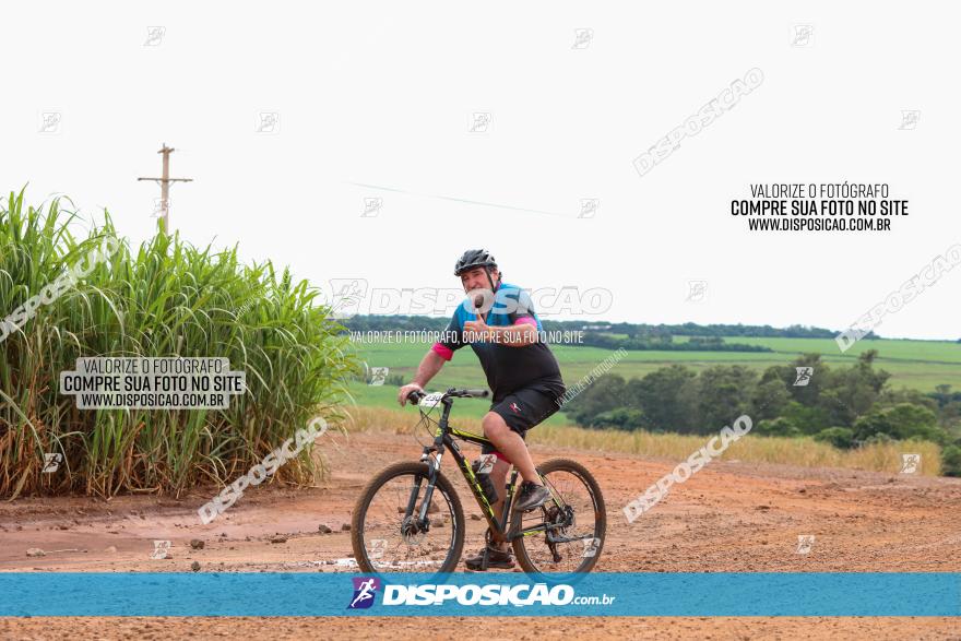 1ª EDIÇÃO DESAFIO ABELHA GRANDE - XCM