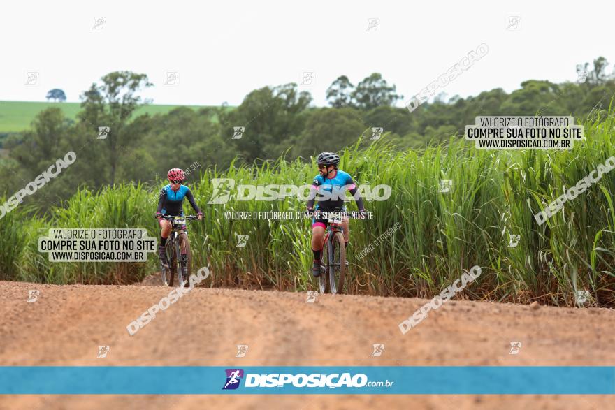 1ª EDIÇÃO DESAFIO ABELHA GRANDE - XCM