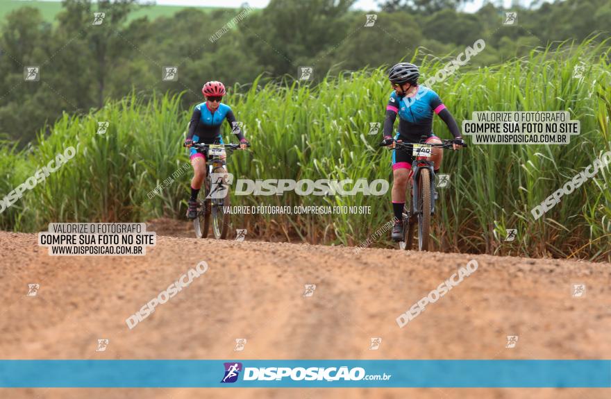 1ª EDIÇÃO DESAFIO ABELHA GRANDE - XCM