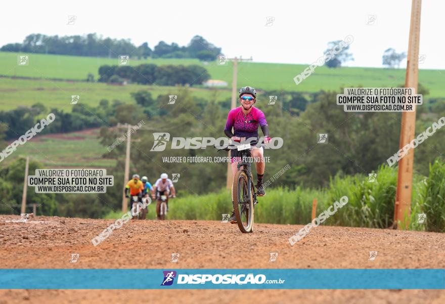 1ª EDIÇÃO DESAFIO ABELHA GRANDE - XCM