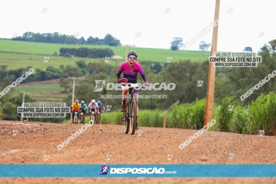 1ª EDIÇÃO DESAFIO ABELHA GRANDE - XCM