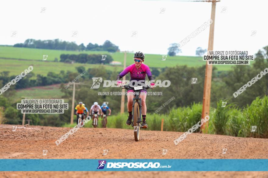 1ª EDIÇÃO DESAFIO ABELHA GRANDE - XCM