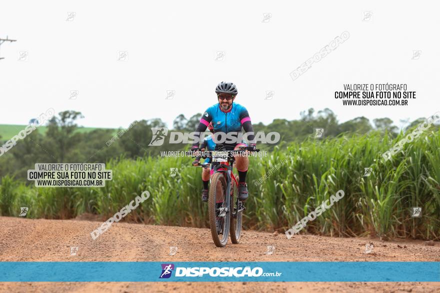 1ª EDIÇÃO DESAFIO ABELHA GRANDE - XCM