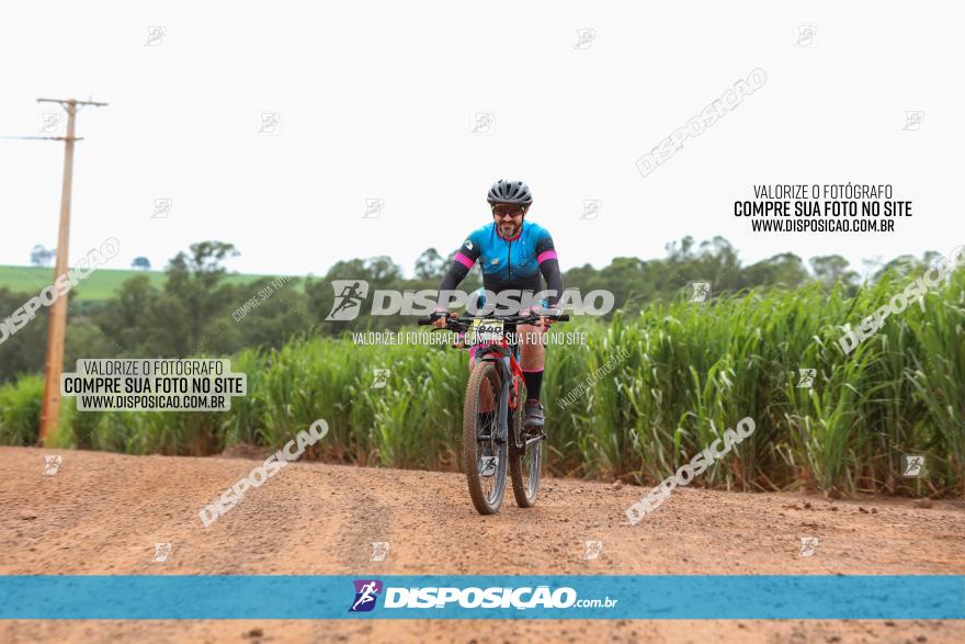 1ª EDIÇÃO DESAFIO ABELHA GRANDE - XCM