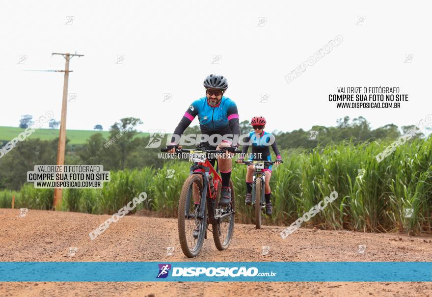 1ª EDIÇÃO DESAFIO ABELHA GRANDE - XCM