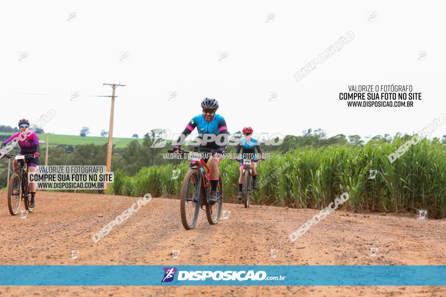 1ª EDIÇÃO DESAFIO ABELHA GRANDE - XCM