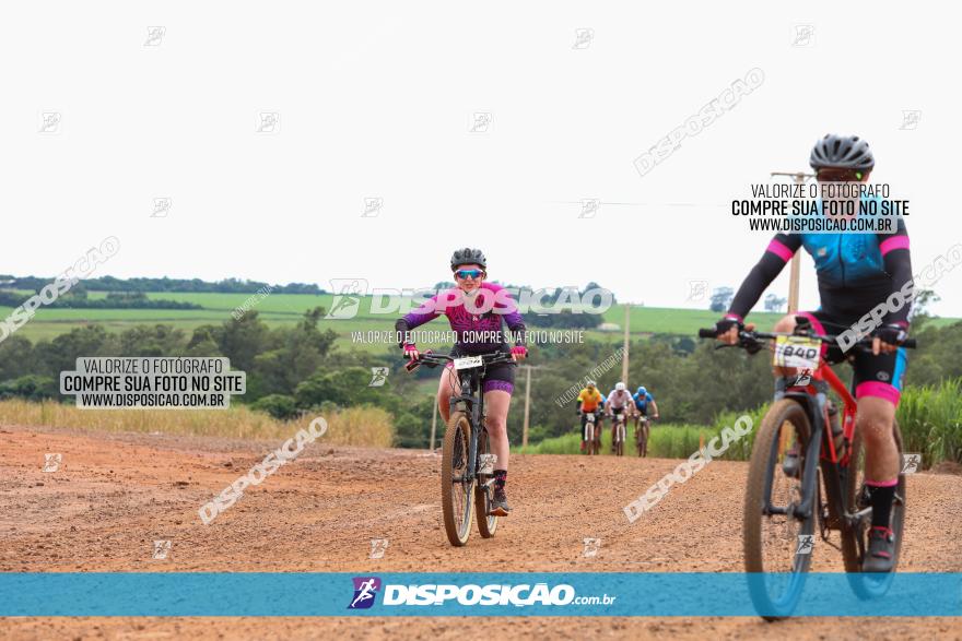 1ª EDIÇÃO DESAFIO ABELHA GRANDE - XCM