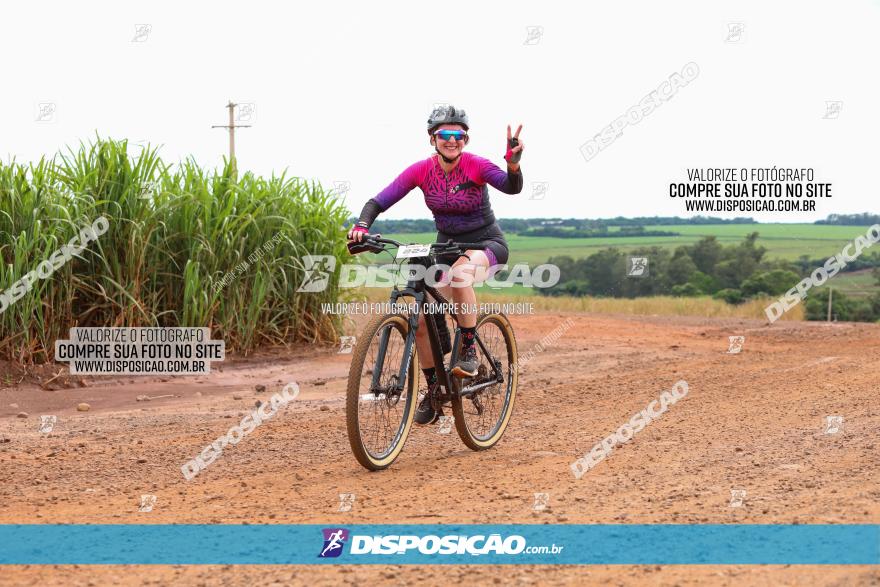 1ª EDIÇÃO DESAFIO ABELHA GRANDE - XCM