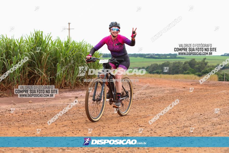 1ª EDIÇÃO DESAFIO ABELHA GRANDE - XCM