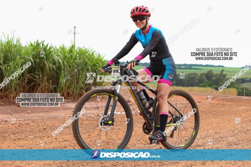 1ª EDIÇÃO DESAFIO ABELHA GRANDE - XCM