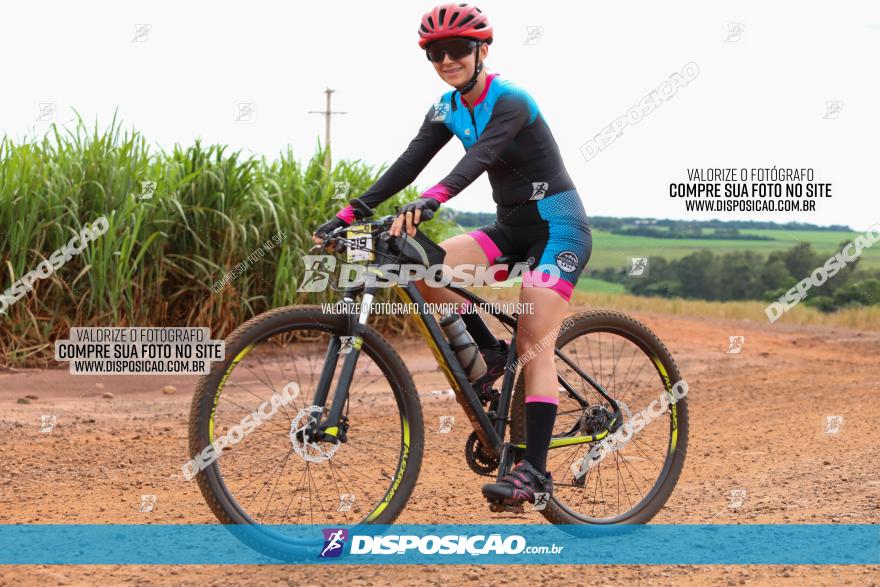 1ª EDIÇÃO DESAFIO ABELHA GRANDE - XCM