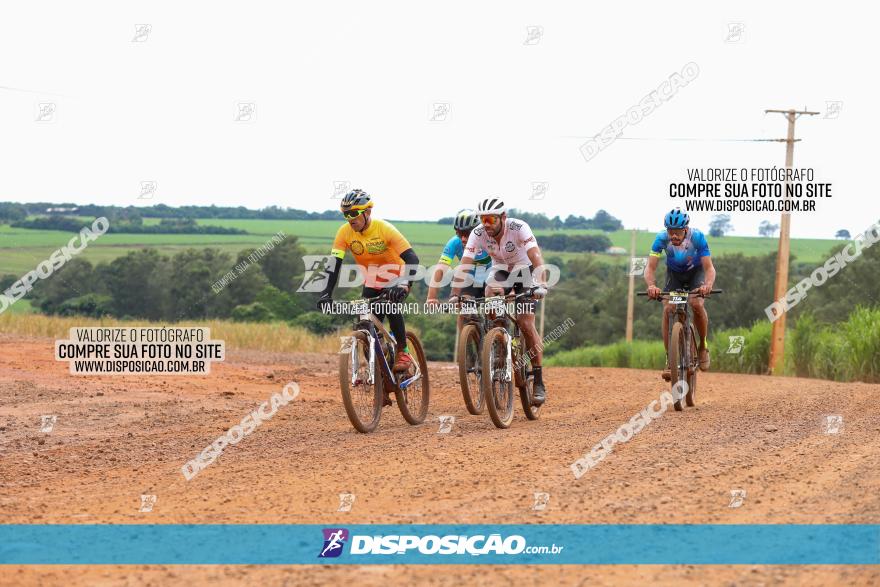 1ª EDIÇÃO DESAFIO ABELHA GRANDE - XCM