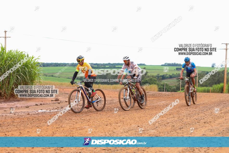 1ª EDIÇÃO DESAFIO ABELHA GRANDE - XCM