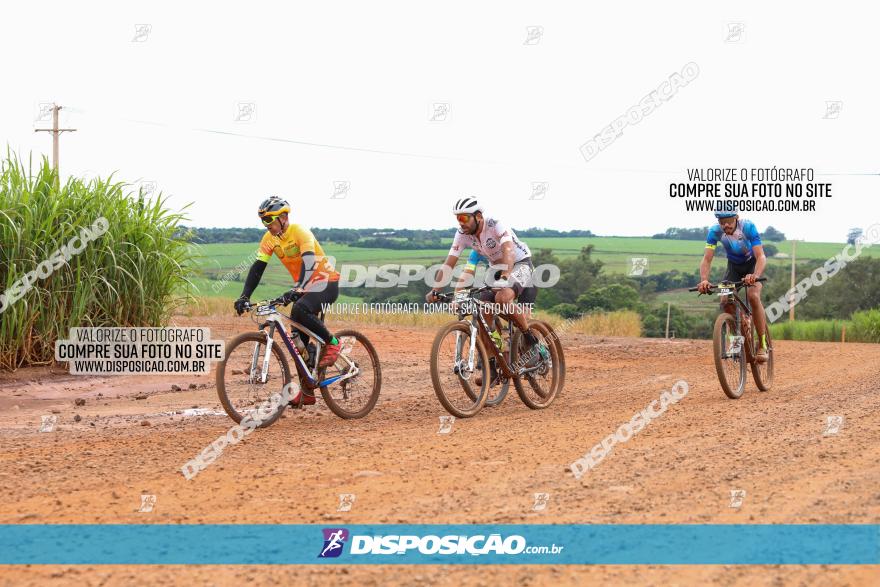 1ª EDIÇÃO DESAFIO ABELHA GRANDE - XCM