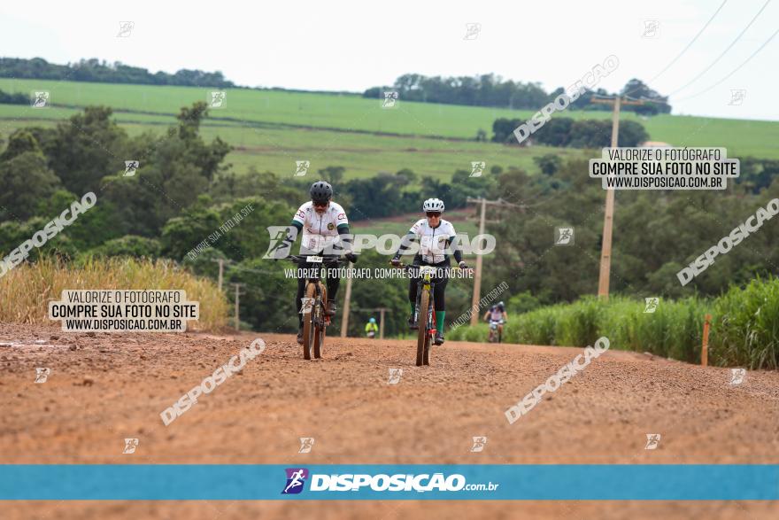 1ª EDIÇÃO DESAFIO ABELHA GRANDE - XCM