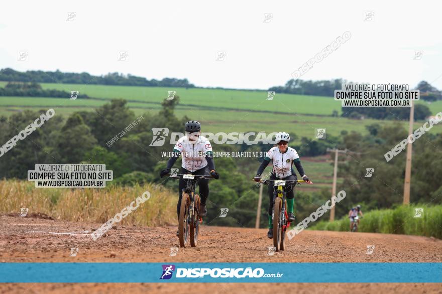 1ª EDIÇÃO DESAFIO ABELHA GRANDE - XCM